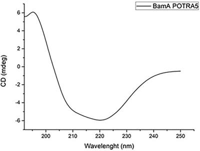 The antimicrobial peptide Magainin-2 interacts with BamA impairing folding of E. coli membrane proteins